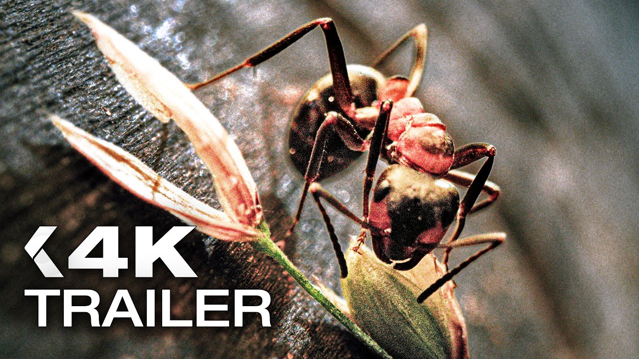 Insekten – Helden im Verborgenen Trailer German Deutsch (2026)