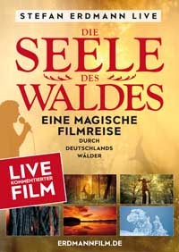 Die Seele des Waldes