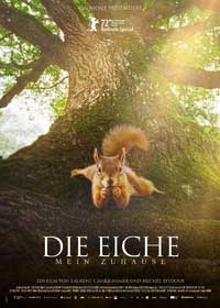 Die Eiche – Mein Zuhause
