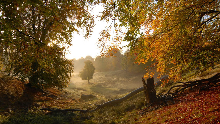 heimat-natur