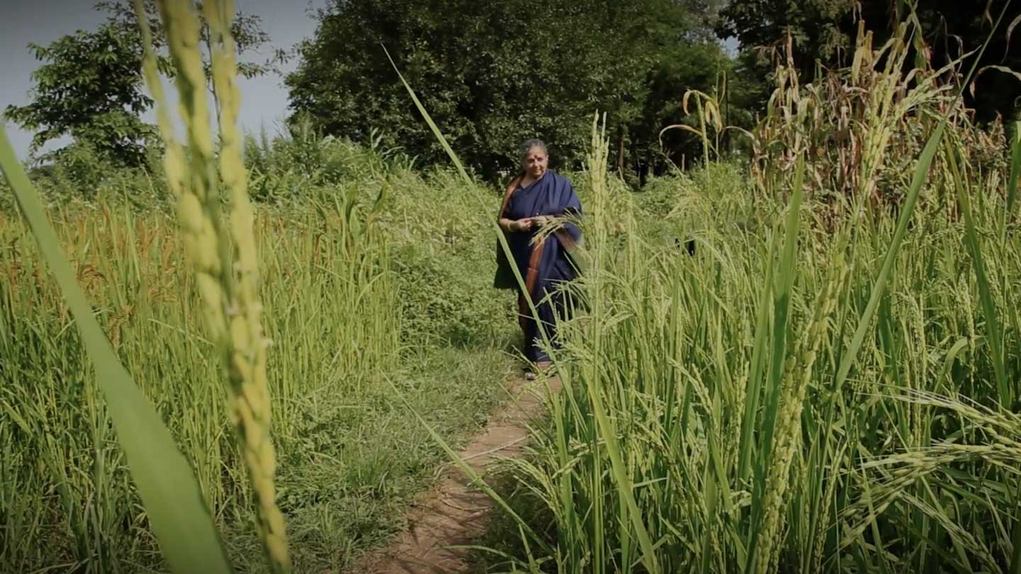 Vandana Shiva Ein Leben für die Erde